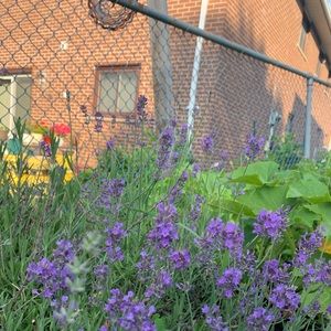 Meet your Posher, Heidy